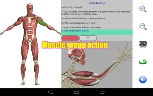 Visual Anatomy 2-screenshot-2